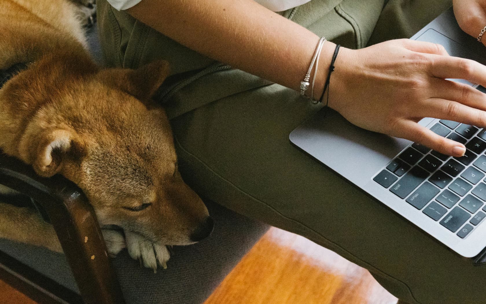 owner and dog doing paperwork